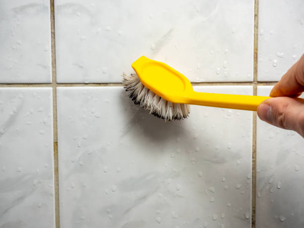 Best Residential Mold Removal  in Sebring, OH