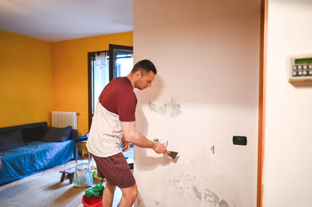 Best Office Mold Removal Services  in Sebring, OH